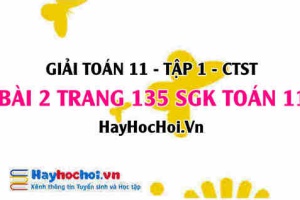 Giải bài 2 trang 135 Toán 11 tập 1 SGK Chân trời sáng tạo